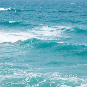 星星的微风的晚音