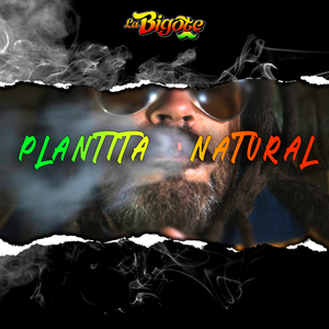 Plantita Natural