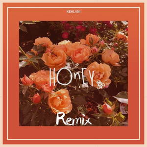 Honey（KRIKt remix）