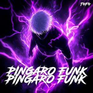 PİNGARO FUNK