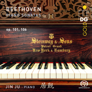 Piano Sonata No. 28 in A Major, Op. 101: III. Langsam und sehnsuchtsvoll - Geschwinde, doch nicht zu sehr, und mit Entschlossenheit