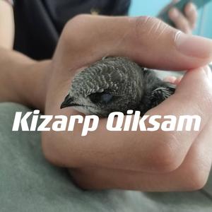Kizarp Qiksam