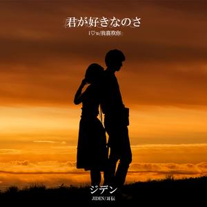 君が好きなのさ/我喜欢你（伴奏）