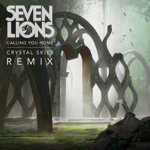 Calling You Home (feat. Runn) (Crystal Skies Remix)