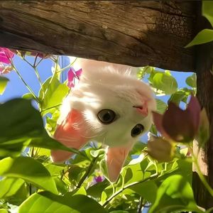 事件视界内的时光追忆