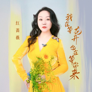 我在等花开也在等你来 (DJ九零版)