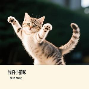 我的小猫咪