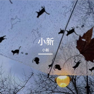 小新-风与永恒（小新 remix）