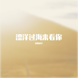 漂洋过海来看你