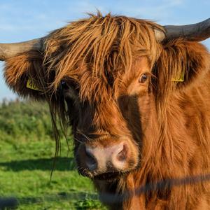 De Opwarming Van De Aarde