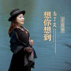 想你想到忘了哭 (伴奏)