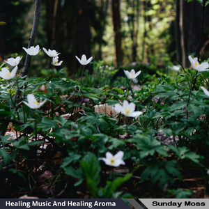 Breezy Meadows of Respite