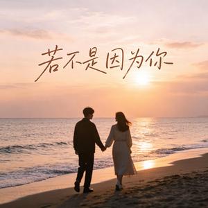 若不是因为你