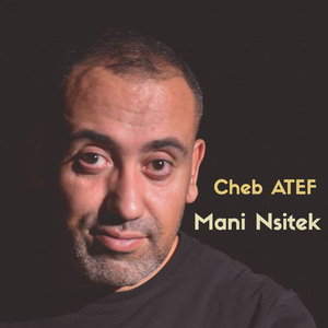 Mani Nsitek