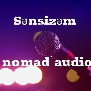 Sənsizəm