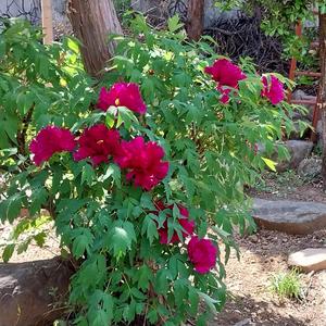 English/ I ching Song of the Calendar 주역 달력의 노래