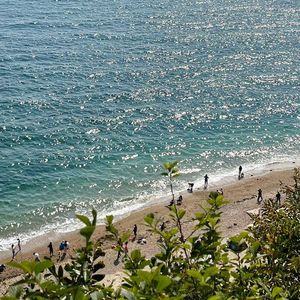 后来（女声吉他弹唱）