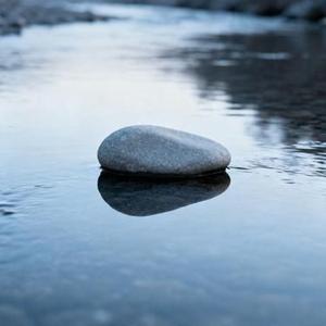 现实的答案
