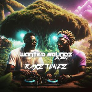 Take A Hit _ (feat. Raxz Tunez & Wanted SoundZ) (NoxXare Riddimz)