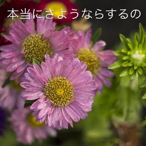 本当にさようならするの