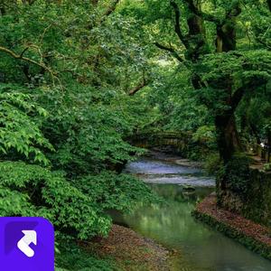 风吹秋雨天与凉【伴奏】 (现场)