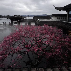 每个城市都会下雨 像我到哪都会想你