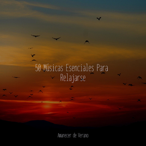 Serenidad Solemne del Solsticio del Alma