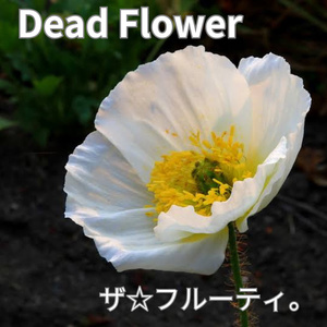 背筋をシャンと (2025)