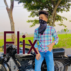 Flix