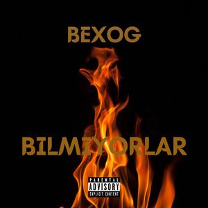 Bilmiyorlar