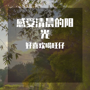 感受清晨的阳光