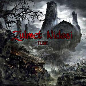 治静音乐-Zulmet Nidasi（TELWE remix）