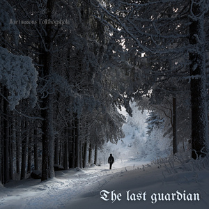 The Flight of The Guardian