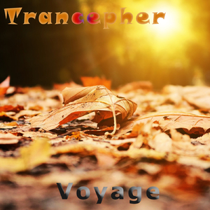 Voyage (Original Mix)