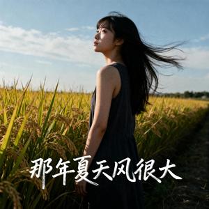 那年夏天风很大