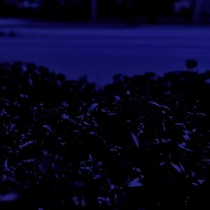 In The Dark