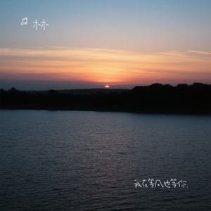 我在等风也等你.