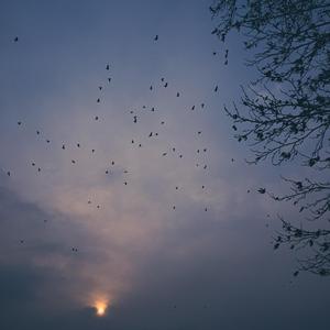 chill助眠（轻音乐）