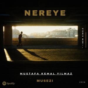 Nereye