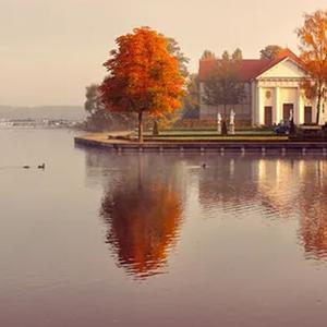 给我一杯忘情水