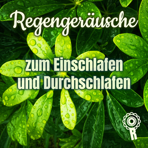 Regengeräusche zum Einschlafen und Durchschlafen - Teil 02