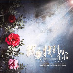 我要找到你（双声道）