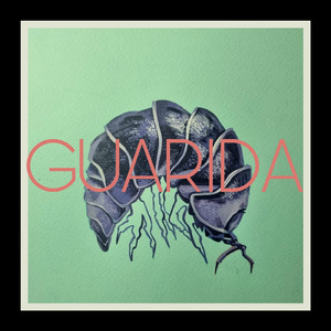 Guarida