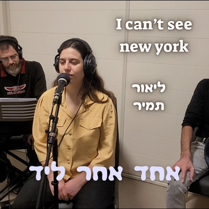 I can't see new york (Acoustic Version)