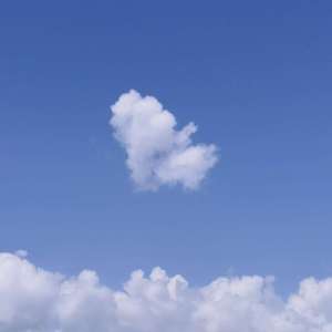 好想去你的世界爱你（cover Sunnee杨芸晴）