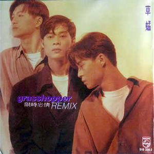 爱情嘉年华之跳跃疯狂版