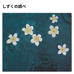 透明な雨のワルツ