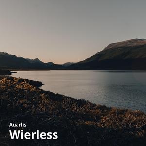 Wierless