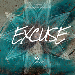 Excuse (Remix)