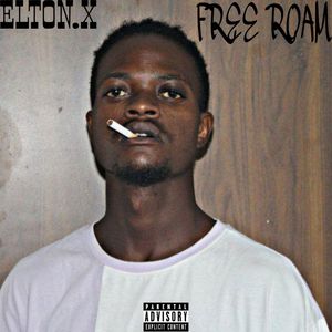 Free Roam